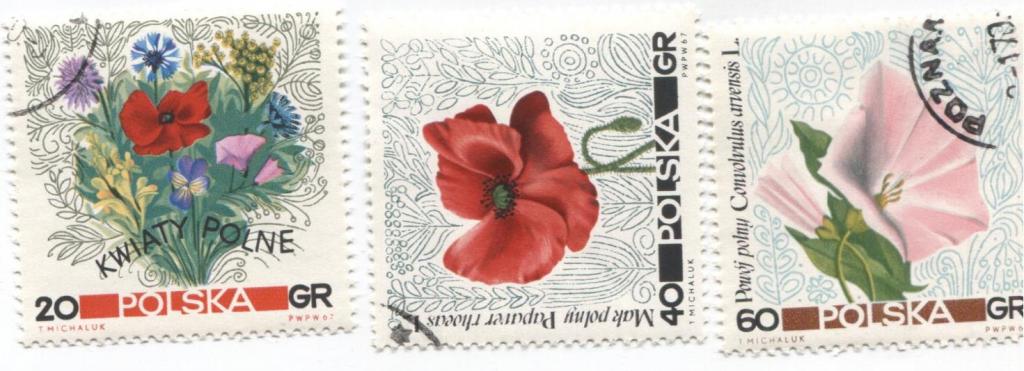 1967 Польша.Цветы 3м гаш