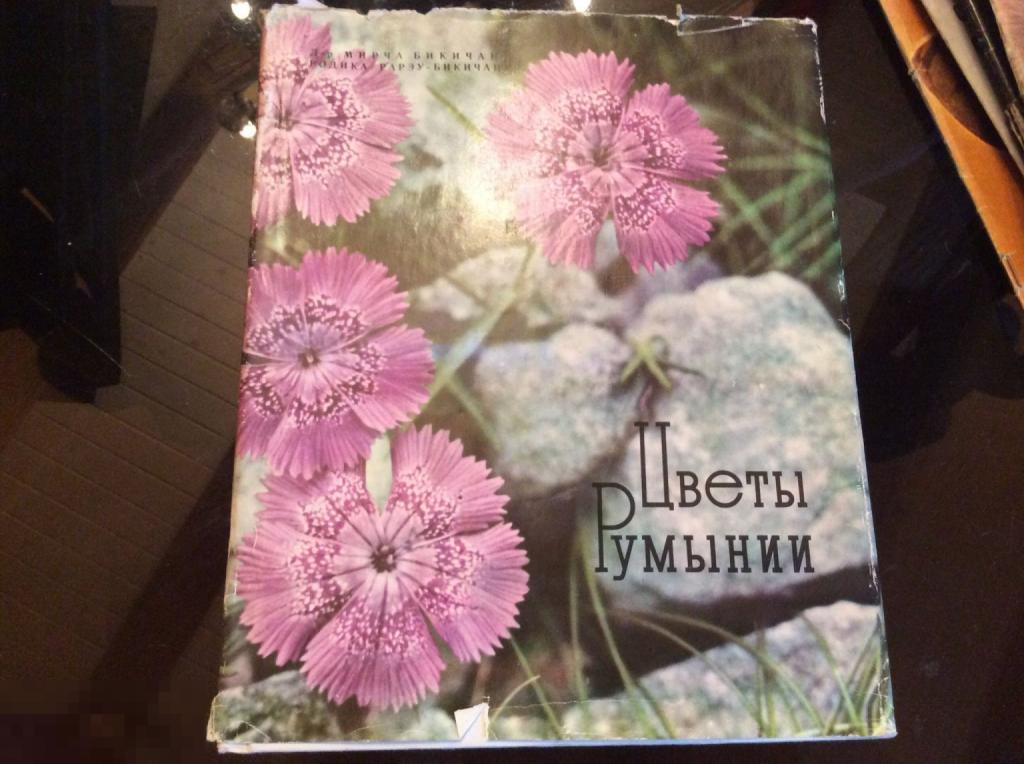 Книга ЦВЕТЫ РУМЫНИИ 1964 год Бухарест фотоальбом Редкость!
