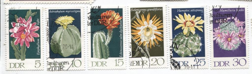 1970 Германия ГДР .Цветущие Кактусы 6м гаш