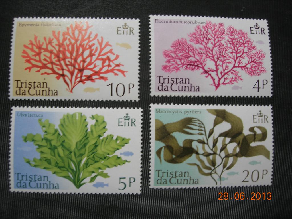 Тристан-да-Кунья 1975 флора (водоросли)   MNH