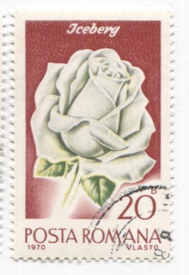 1970 Румыния. Розы 2м гаш