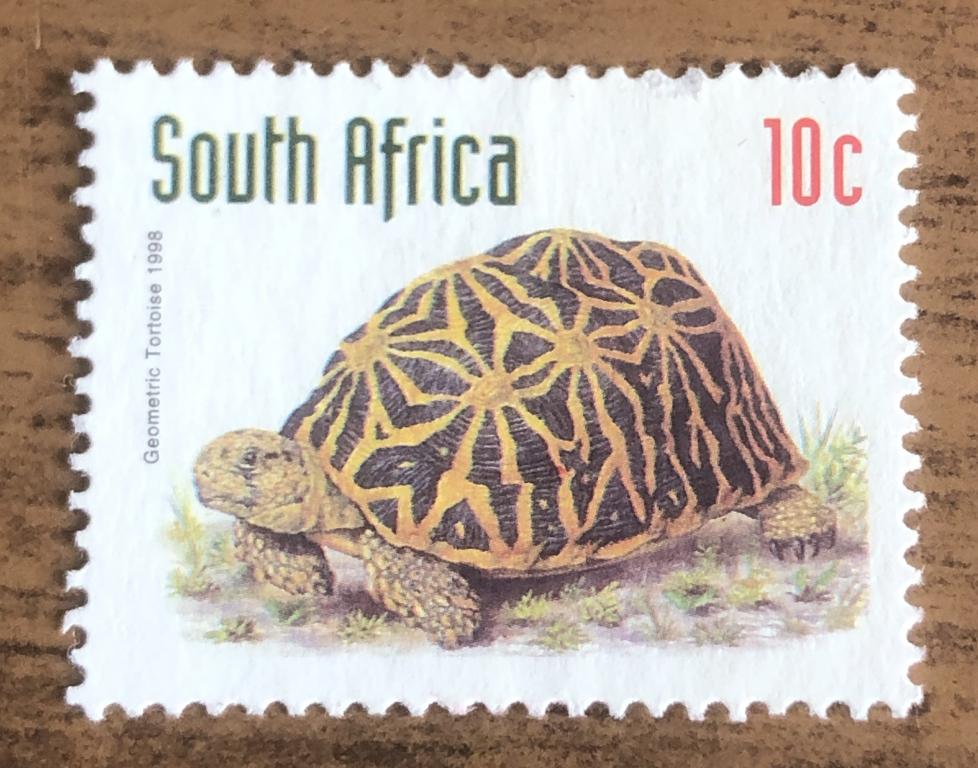 Марки ЮАР 1998 г Геометрическая черепаха (Psammobates geometricus)
