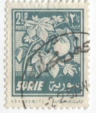 1956 Сирия.Хлопок.1м гаш