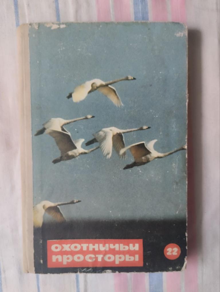 Охотничьи просторы. 22