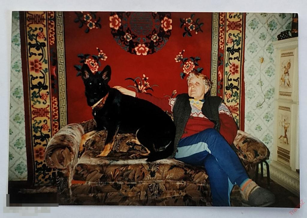 Фотография цветная женщина, собака, диван ковер #148