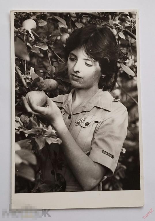 Фотография портрет девушка у дерева, мода прическа одежда украшения брошь #150*