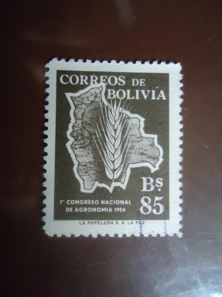 1954 г.  Боливия  гаш. без клея.