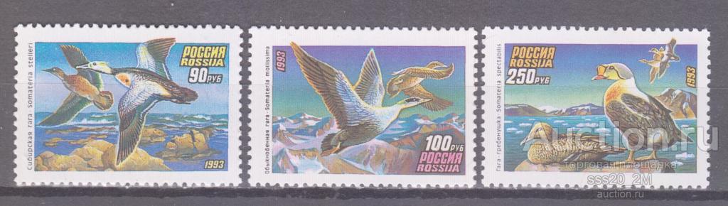 Россия 1993 птицы Mi320-322 MNH