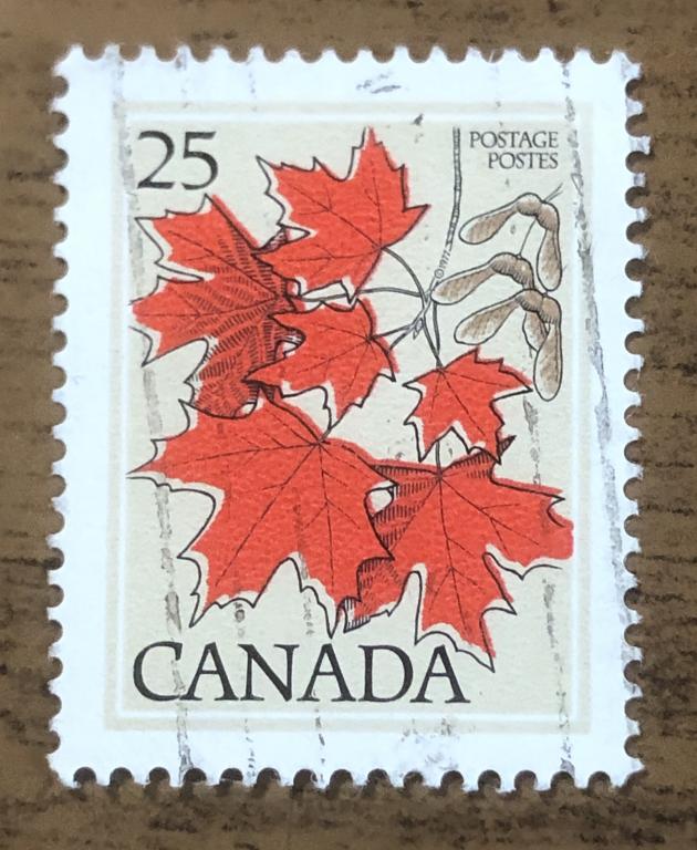 Марки Канады 1977 Клен сахарный (Acer saccharum)