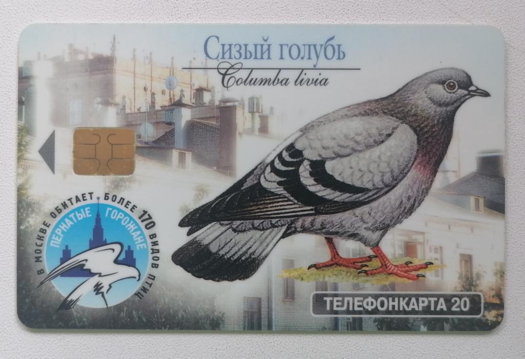 Телефонная карта Москва МГТС Пернатые горожане Сизый голубь Черный стриж 20 ед.