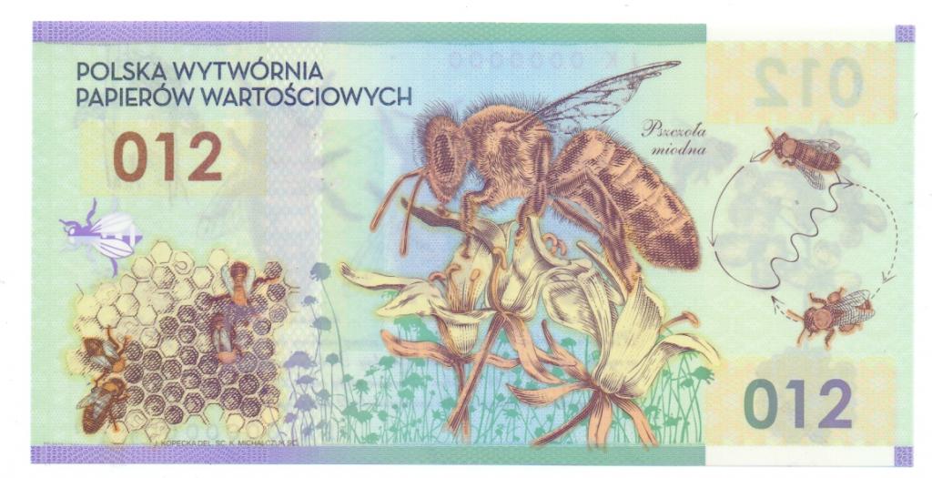 ДЕМОНСТРАЦИОННАЯ, ТЕСТОВАЯ БАНКНОТА, ПЧЕЛИНЫЙ МЁД, ПОЛЬША, ПОЛИМЕР, 2012 ГОД, UNC RRR