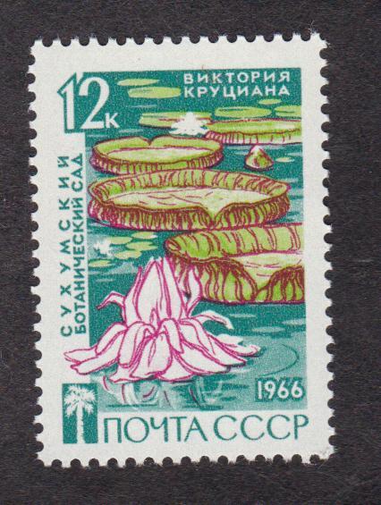 СССР 1966 Флора Сухумский ботанический сад (4478)