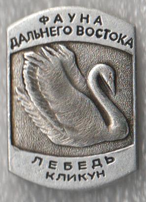 Лебедь Кликун * Серия "Фауна Дальнего Востока"