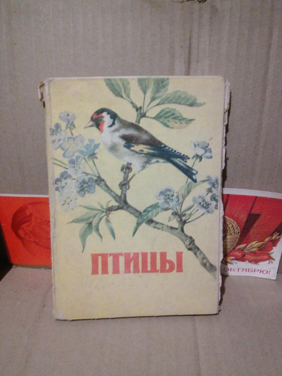 Книга-раскладушка.Н,Кандакова.Птицы.Львов.1964г..СССР