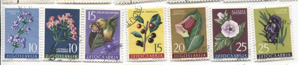 1955-59 Югославия Югославская флора 12м.гаш