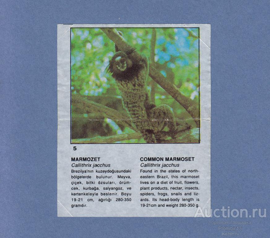 Вкладыш Cin Cin CinCin звери №5