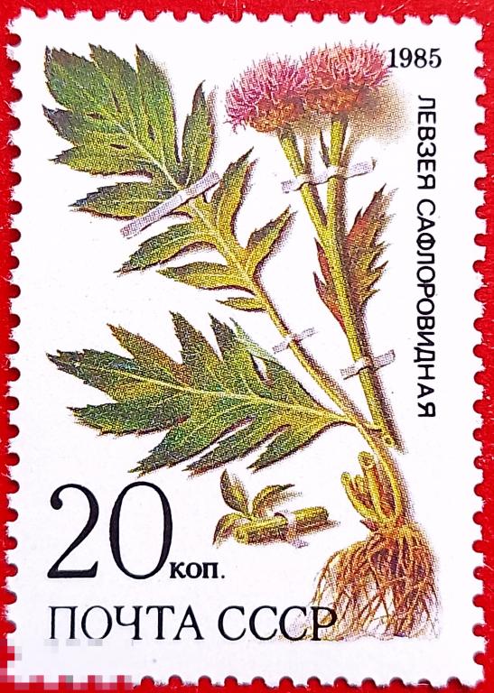 СССР 1985 Лекарственные растения Сибири / Сафлоровидная левзея** №5652