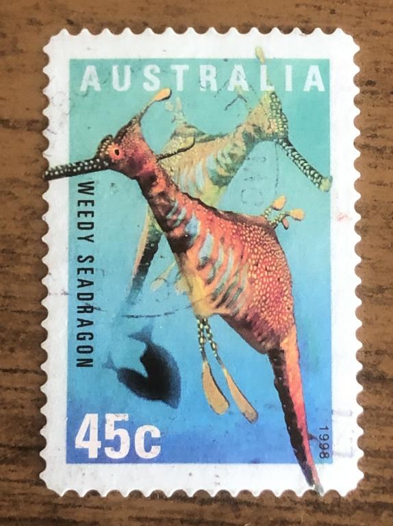 Австралия 1998 Сорный морской дракон (Phyllopteryx taeniolatus)