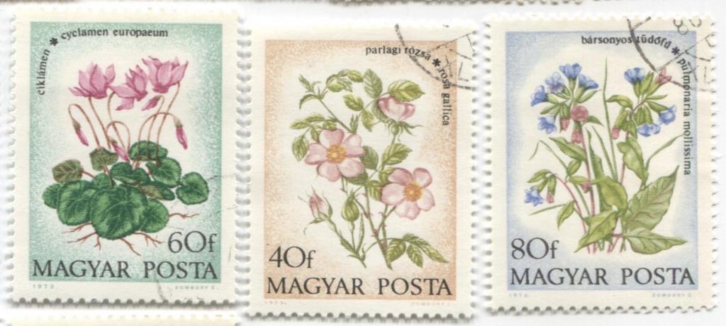 1973 Венгрия Полевые цвета 3м гаш