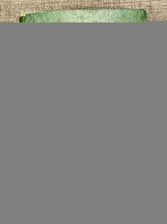 #1812137 Меркин Д. Р. Введение в механику гибкой нити