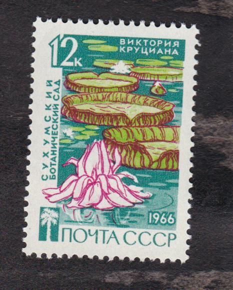 СССР 1966 Флора Сухумский ботанический сад (4570)