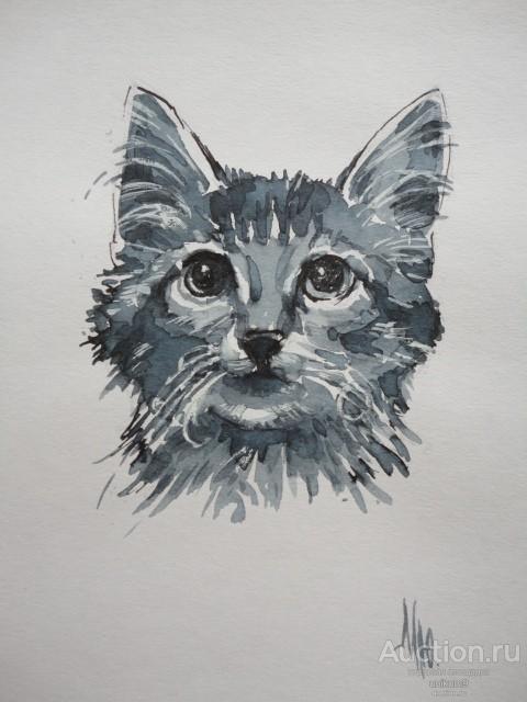 графика, рисунок  котёнок