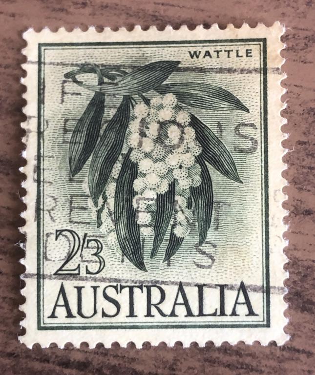 Австралия 1959 Флора. Акация густоцветковая