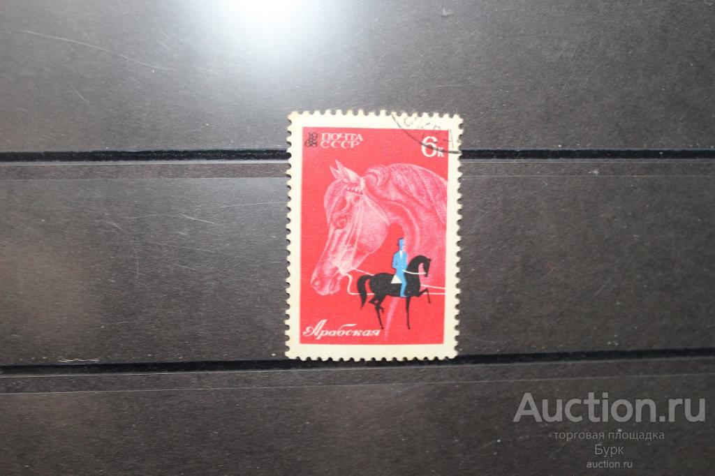 марка СССР 1968 г. Коневодство и конный спорт.Арабская гаш.