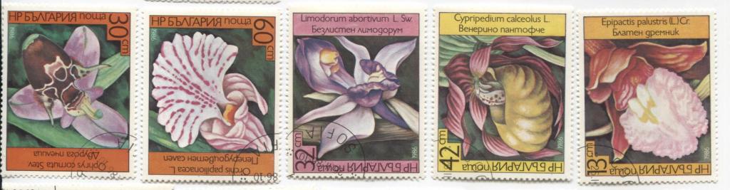 1986 Болгария Орхидеи 6м гаш