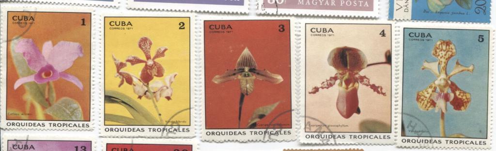 1971 Куба Тропические Орхидеи 7м гаш