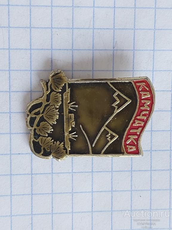 ЗНАЧОК знак город Камчатка архитектура