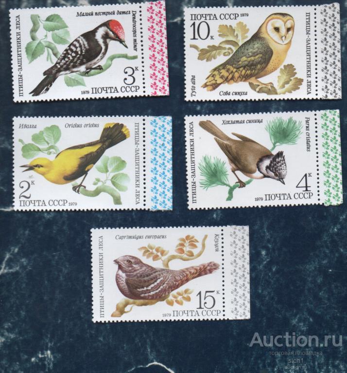 СССР 1979 Птицы-защитники леса (А7) ** чист ПОЛЕ