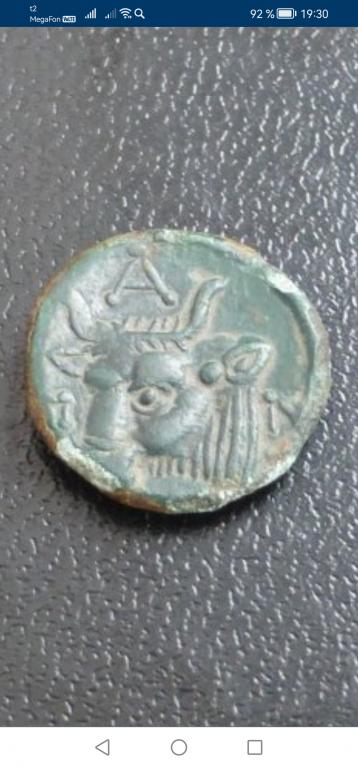 Монета Боспора.Пантикапей. Сатир, голова быка, лепта. Родная патина (8)