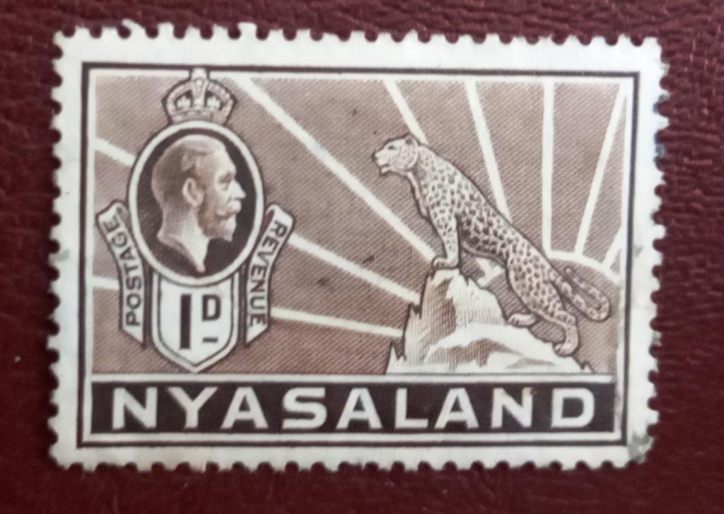Ньясаленд  Британская Колония 1934 год Георг V и Леопард MNH+