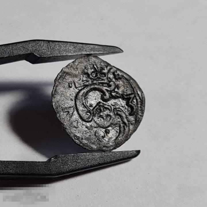 Денарий 1623 года (м.д. Краков, Речь Посполитая), НЕЧАСТЫЙ!