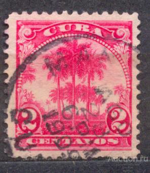 Ви Куба 1905 пальмы флора