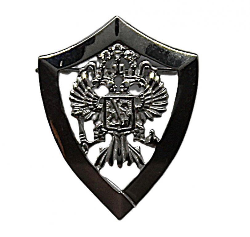 Нагрудный знак «ГЕРБ РОССИИ». Серебро
