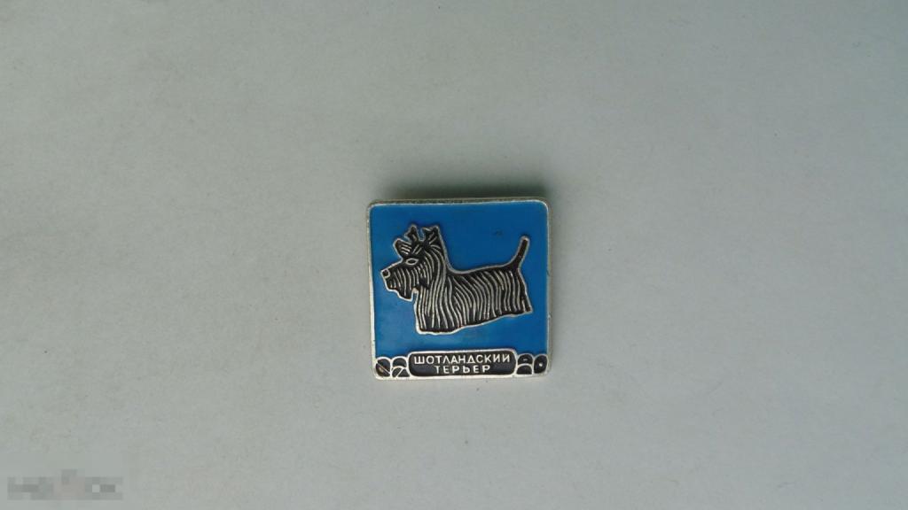 Значки Породы собак: шотландский терьер