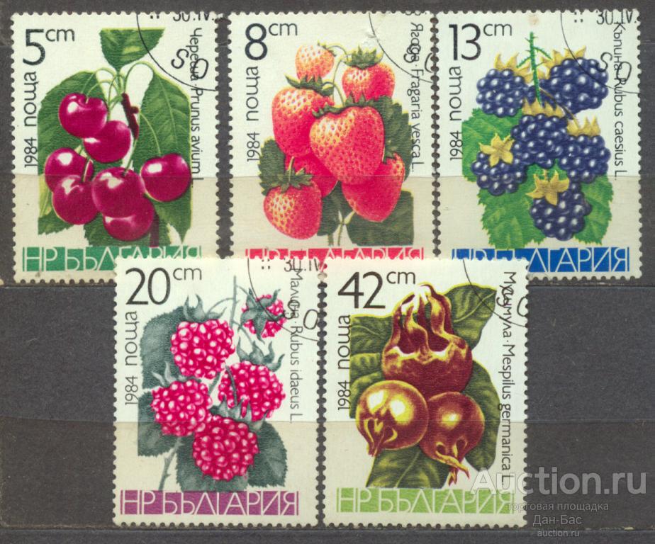 Ви  Болгария 1984 фрукты ягоды флора
