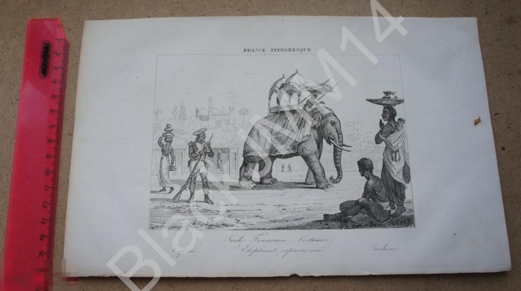 1838 г. Гравюра А. Гюго Живописная Франция Индия Слон