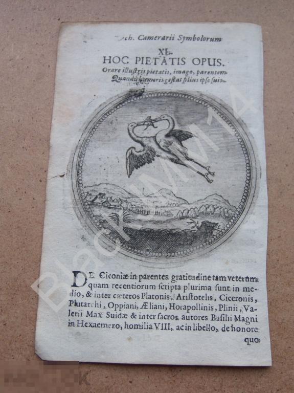 1677 Гравюра медь Камерарий Латынь Изречение Великое дело благочестия Аист несет отца