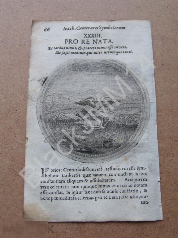 1677 Гравюра медь Камерарий Латынь Изречение Птица быстрая, черепаха медленная Золотая середина