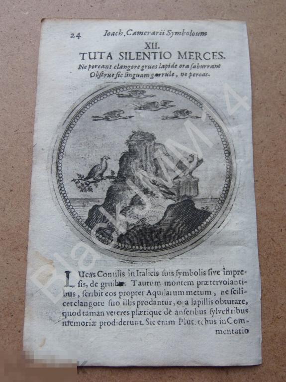 1677 Гравюра медь Камерарий Латынь Изречение Быть бесшумным чтобы не погибнуть Журавли