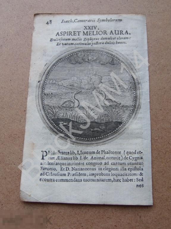 1677 Гравюра медь Камерарий Латынь Изречение Лебеди любят ветер а барды признание