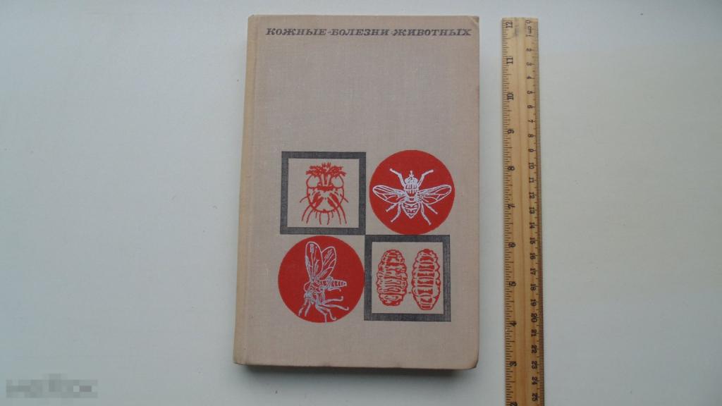 Книга Кожные болезни животных. В. Соколовский. (Москва, 1968г.)