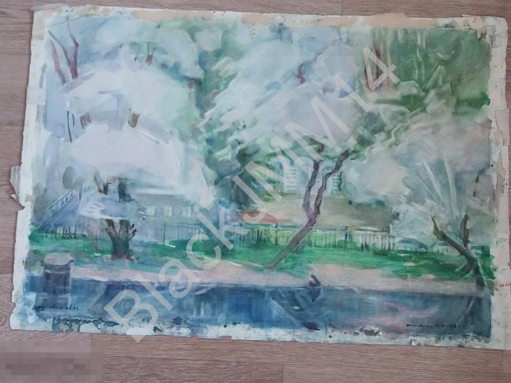 1966 г. Островская М.Ф. (1896-1980) Акварель Серебристые ивы