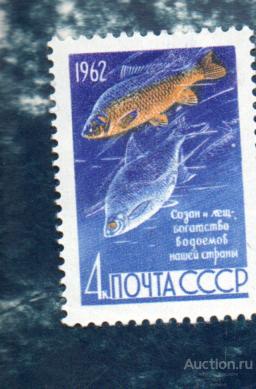 СССР 1962 ФАУНА РЫБЫ сёмга (А)   ЧИСТ