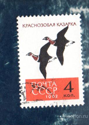 СССР 1962 ФАУНА ПТИЦЫ  казарки  (А)  гашён