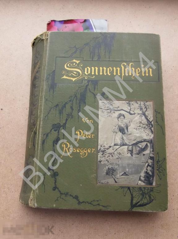 1902 г. Лейпциг П. Розеггер Солнечный свет На немецком языке
