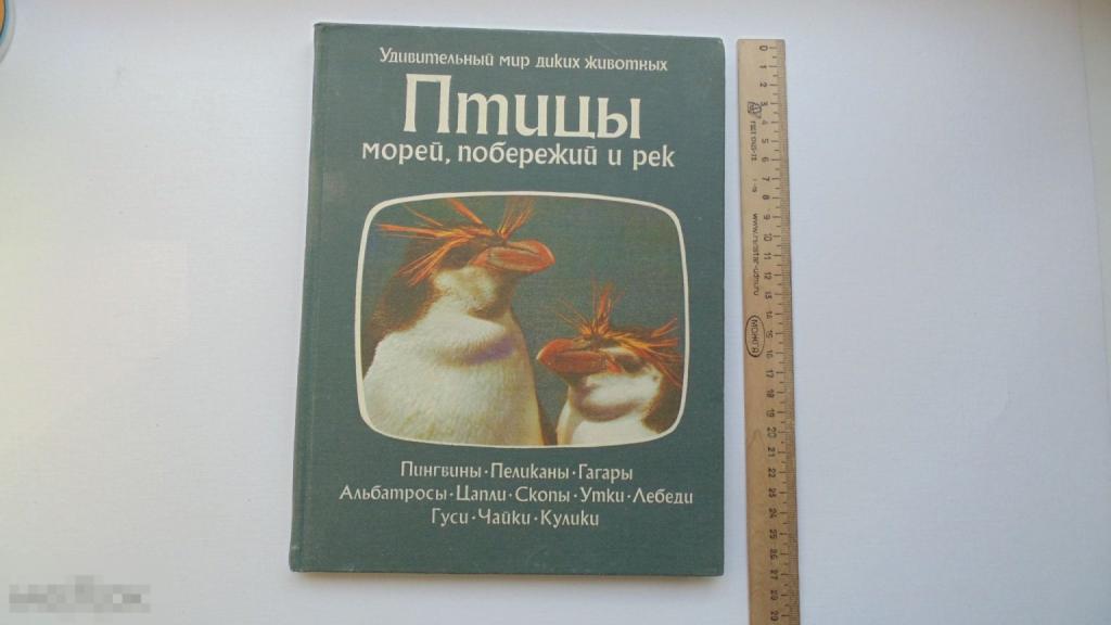 Книга У.Брэдбери. Птицы морей, побережий и рек. (Москва, 1983г.)